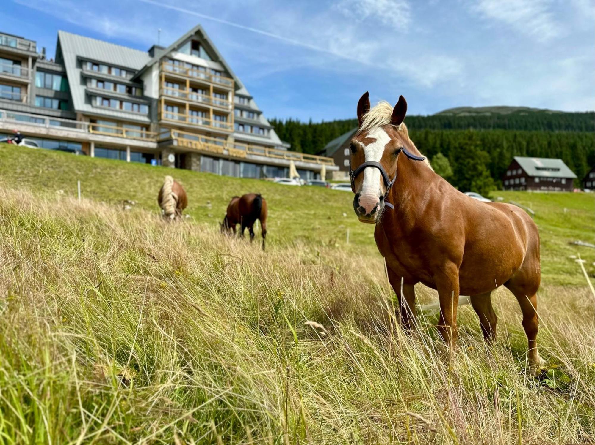 Erlebachova Bouda, Hotel - Resort Svaty Frantisek Špindlerŭv Mlýn Eksteriør billede